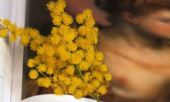 [:it]Festeggiamo Insieme La Festa Della Donna[:de]Wir Feiern Zusammen Den Frauentag[:] FestaDellaDonna2018 slider
