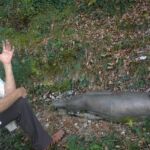 Foto 2012 3505413748