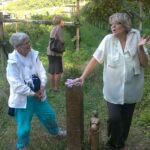 Foto 2012 1587220041