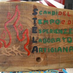 Foto 2012 3185566615