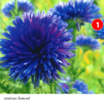 Foto 2013 3067122398