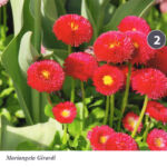 Foto 2013 1420877116