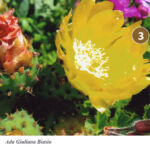 Foto 2013 3844700659