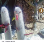 Foto 2013 4048909029