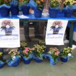 Foto 2013 3764441797