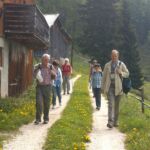 Foto 2013 3393770265