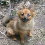 Foto 2013 2157924718