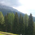 Foto 2013 1571927917