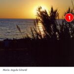 Foto 2014 1991567671