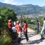 Foto 2014 1692365809