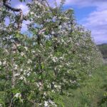 Foto 2014 1657548037