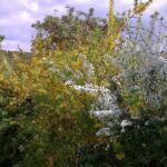 Foto 2014 3389620979