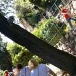 Foto 2014 2143927941