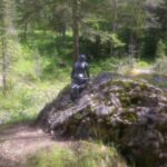 Foto 2014 1453966849