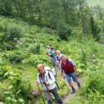 Foto 2014 1539700185