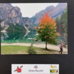 Foto 2015 3845564960