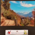 Foto 2015 3144011493