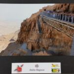 Foto 2015 1688525332