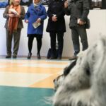 Foto 2015 388953828
