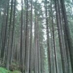 Foto 2015 4033258433