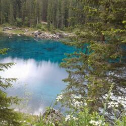 Foto 2015 2494345599