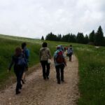 Foto 2015 1160497713