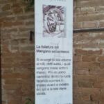 Foto 2015 1209958388