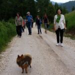 Foto 2015 2329953382