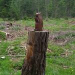 Foto 2015 2190732831