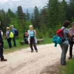 Foto 2015 3477386710