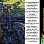 Foto 2016 2244264772