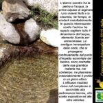 Foto 2016 4130132872