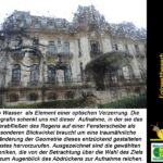 Foto 2016 1676304023