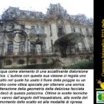 Foto 2016 3088318386