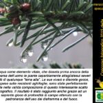 Foto 2016 524351106