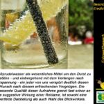 Foto 2016 2324069277