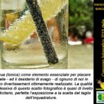 Foto 2016 1899214072