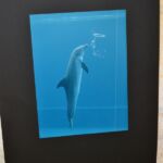 Foto 2016 2075203824