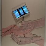 Foto 2016 3934798599