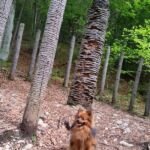 Foto 2016 2870061469