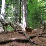 Foto 2016 2624449947