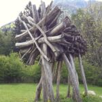 Foto 2016 3527596387