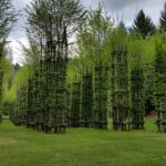 Foto 2016 1864953472