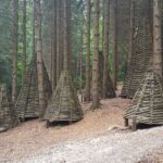 Foto 2016 2808888898