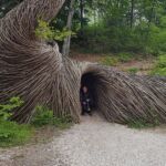 Foto 2016 4154262845