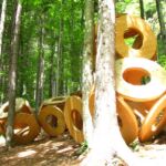 Foto 2016 2843822567