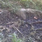 Foto 2016 2891836450