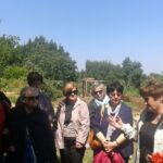 Foto 2016 3323770050