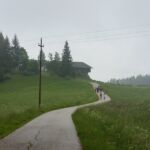 Foto 2016 3021996335