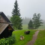 Foto 2016 1668739984